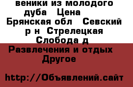веники из молодого дуба › Цена ­ 55 - Брянская обл., Севский р-н, Стрелецкая Слобода д. Развлечения и отдых » Другое   